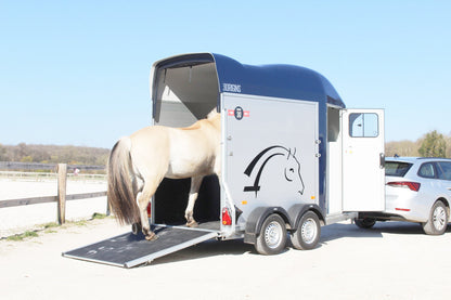Van per 1 Cavallo Gold One Origins