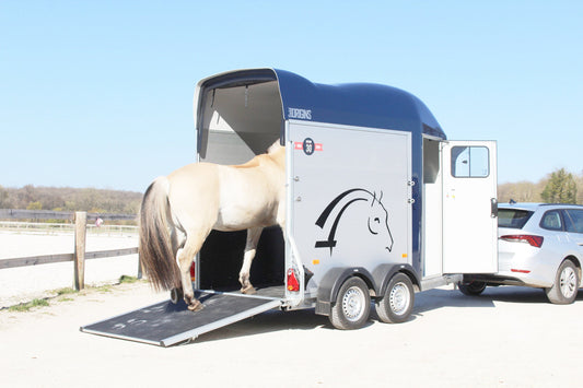 Van per 1 Cavallo Gold One Origins
